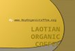 Laotian Organic Coffee