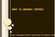 What Is Organic Coffee