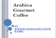 Arabica Gourmet Coffee