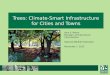 Trees: Climate-Smart Infrastructure for Cities and Towns