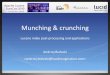 Munching & crunching - Lucene index post-processing