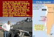 CHILE Earthquake - February 27,2010