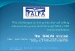 Juan Carlos Lozano, Chairman of the IFALPA Accident Analysis and Prevention Committee