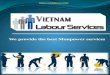 Vietnam Labour Services