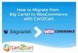 How to Migrate from Big Cartel to WooCommerce