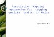 Association mapping approaches for tagging quality traits in maize