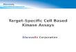 Kinase Assay Overview