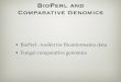 Comparative Genomics with GMOD and BioPerl