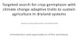 THEME – 0 Targeted search for crop germplasm with climate change adaptive traits to sustain agriculture in dryland systems