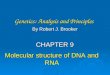 dna rna structure 1
