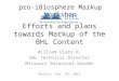 BHL Markup Efforts and Plans