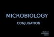 Conjugation Microbiology powerpoint presentation