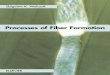 Processes of fiber formation ()
