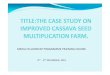 2.2 cassava multiplication in mkuranga d samwel