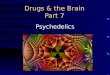 Drugsandthe Brain Part7 Psychedelics