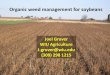 Weed management for organic soybeans