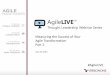 AgileLIVE Webinar: Measuring the Success of Your Agile Transformation - Part 2