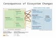 Energy-Environment Analysis Framework 3