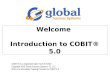 Introduction to cobit 5.0
