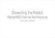 Dissecting the rabbit: RabbitMQ Internal Architecture