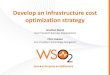 Develop an Infrastructure Cost Optimization Strategy