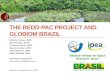 The REDD-pac project and Globiom Brazil