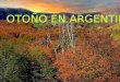 Autumn in argentine