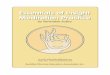 Ebook   buddhist meditation - essentials of insight meditation practice