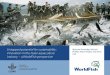 Untapped potential for sustainability: innovation in the Asian aquaculture industry – a WorldFish perspective