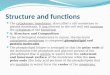 Chapter 3   structure and functions
