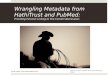 Wrangling metadata from hathi trust and pubmed to provide full text linking to the cornell veterinarian