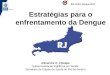 Estratégias para o enfrentamento da Dengue - Rio Contra Dengue 2012