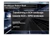 Transforming SOA Landscape Towards SOA+BPM Landscape
