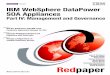 IBM WebSphere DataPower SOA Appliances - Part IV: Management 