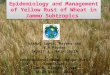 Epidemiology and Management of Yellow Rust of Wheat in Jammu Subtropics