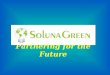 Presentation For Soluna Green