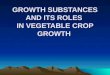 GROWTH SUBSTANCES AND ITS ROLES IN VEGETABLE CROP GROWTH