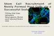 Stem cell Biobridge