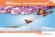 Mitutoyo Winter Promotion