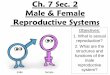 8th Grade-Ch. 7 Sec. 2 Male & Female Reproductive Systems