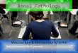 Renal pathology - Microscopy and macroscopy of urene