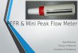 PEFR & mini peak flow meter