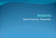 2..malaria 2007