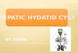 Hydatid cyst theva