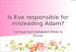 Is eve responsible for misleading adam