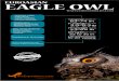 Euroasian Eagle Owl