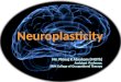 Introduction to Neuroplasticity & its application in neuro rehabilitation