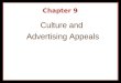 Ibahrine Chapter 9 Culture And Advertising Appeals