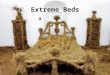 Extreme beds