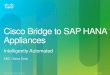 Cisco Bridge to SAP HANA Appliances